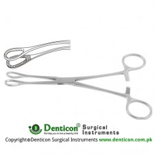 Foerster Sponge Holding Forcep Curved Stainless Steel, 17.5 cm - 7"